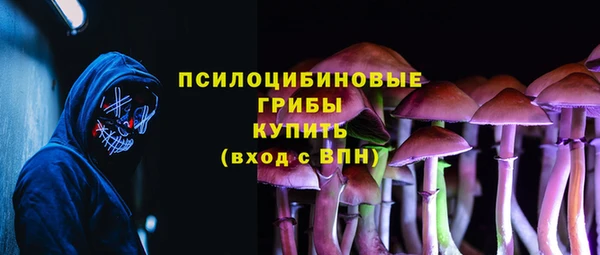 гашик Армянск