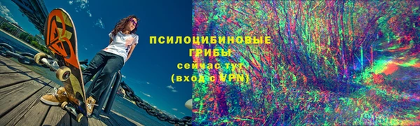 гашик Армянск