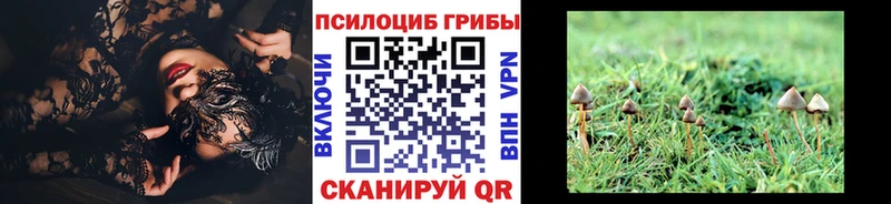 Псилоцибиновые грибы мухоморы  Талица 